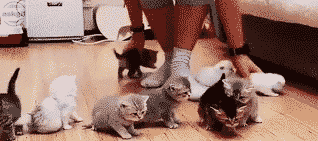 When you are trying to perform an insertion sort.