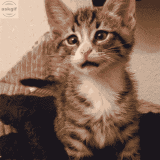 जब आप पाते हैं कि आपका कार्यान्वित कोड उत्पादन में काम नहीं कर रहा है।