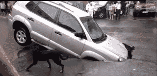 When you follow google maps bit too seriously.