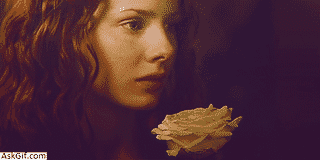 When you get a white rose from your enemy.