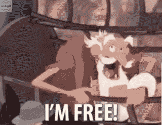 When you graduate and get a job.