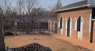 When you hear someone talking about game of thrones.