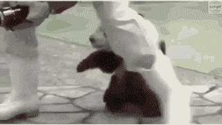 जब आप किसी पार्टी में केवल एक व्यक्ति को जानते हैं।