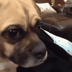 When you listen to Arijit Singh songs.