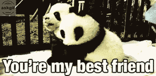 When you meet your best friend after a long time.