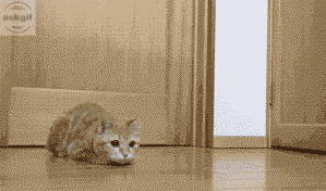 When you want to date every possible girl.