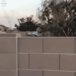 When your product fails during the demo.