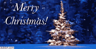 Wish you a Merry Christmas and may this festival bring abundant joy and happiness in your life!