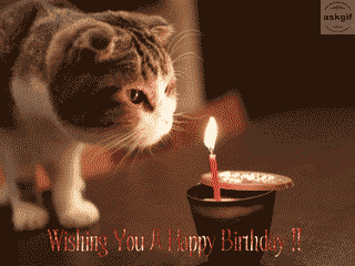 wishing happy birthday.