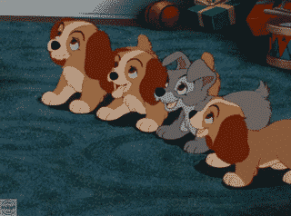 Your friends when you promise them a party.