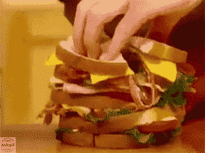 Your salary after tax deduction.