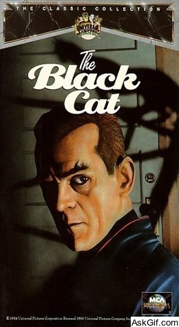 The Black Cat