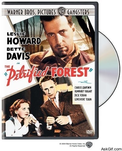 The Petrified Forest