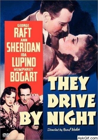 They Drive by Night