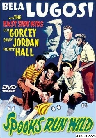 Spooks Run Wild