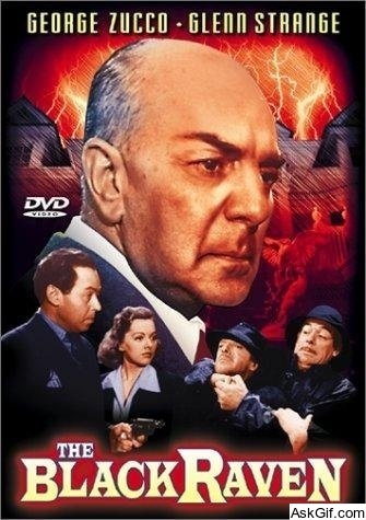 The Black Raven