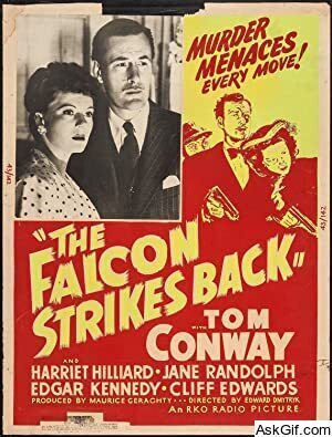 The Falcon Strikes Back