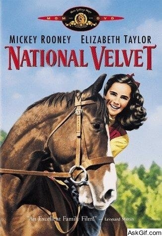 National Velvet