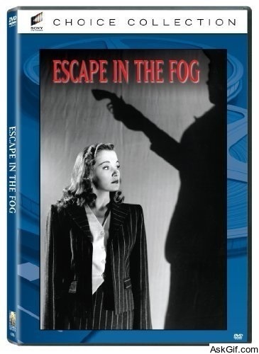 Escape in the Fog