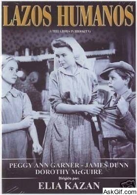 A Tree Grows in Brooklyn