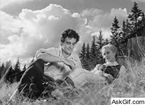 Sunshine Follows Rain