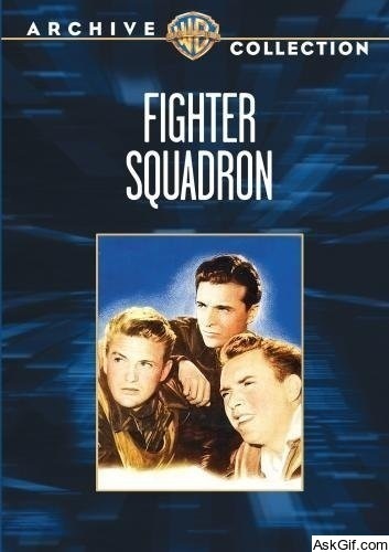 Fighter Squadron