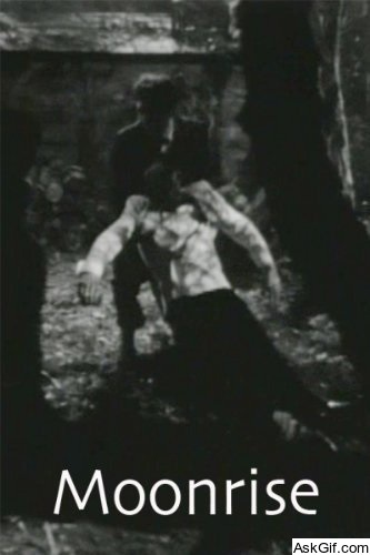 Moonrise