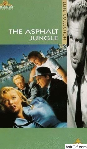 The Asphalt Jungle