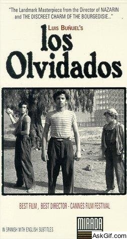 The Young and the Damned