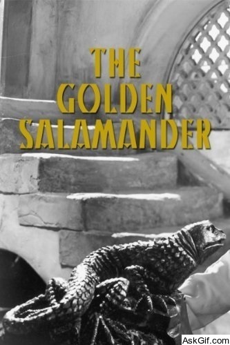 Golden Salamander