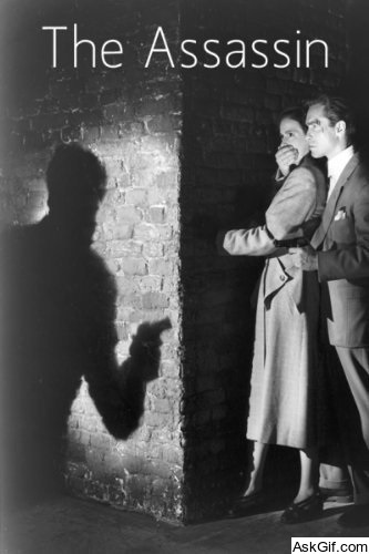 The Assassin