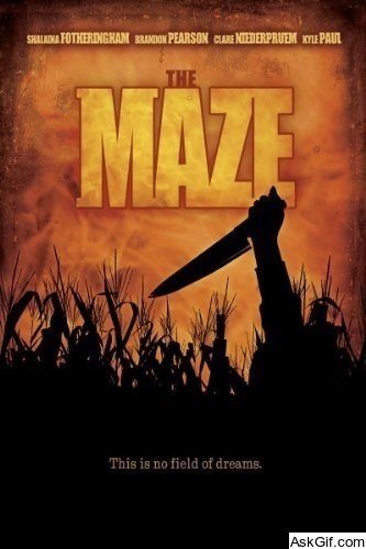 The Maze