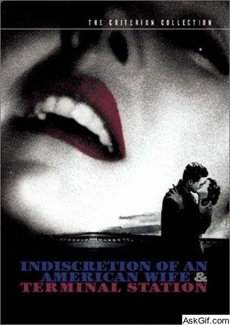 Indiscretion of an American Wife