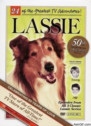 Lassie