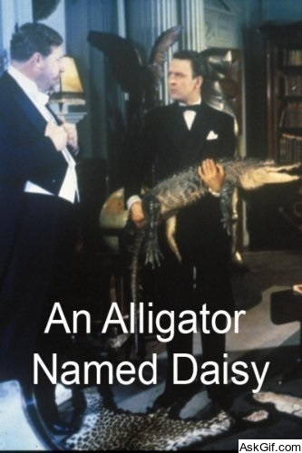 An Alligator Named Daisy