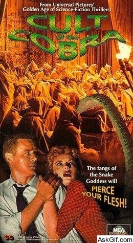 Cult of the Cobra