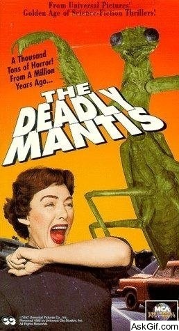The Deadly Mantis