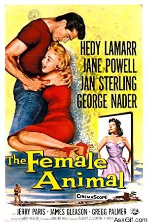 The Female Animal