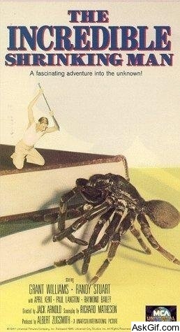 The Incredible Shrinking Man