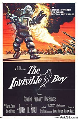 The Invisible Boy