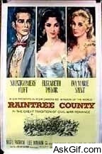 Raintree County