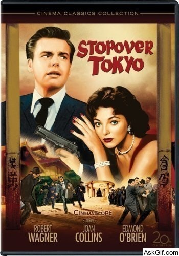 Stopover Tokyo