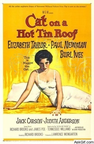 Cat on a Hot Tin Roof