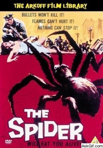 The Spider