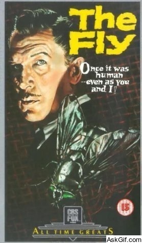 The Fly