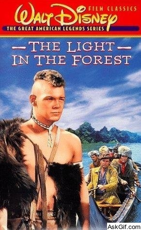 The Light in the Forest