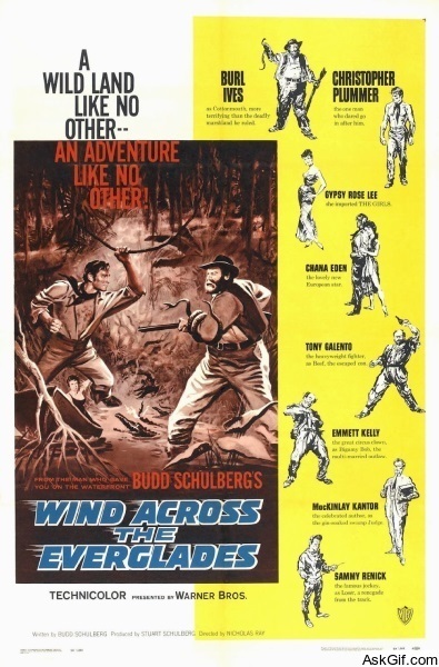 Wind Across the Everglades