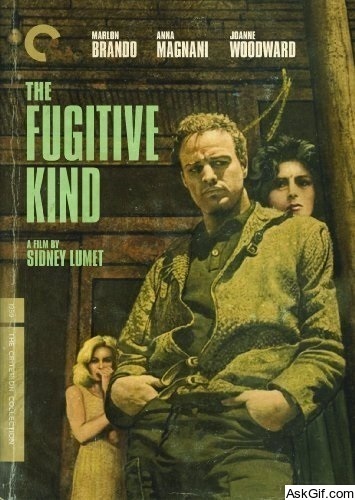 The Fugitive Kind