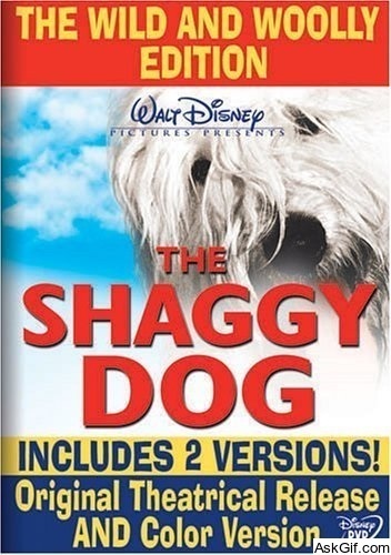 The Shaggy Dog