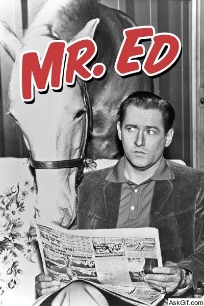 Mister Ed